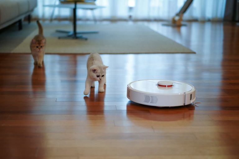 Robot Süpürgelerde Zirvedekiler: En Çok Tercih Edilen Modeller